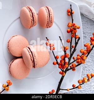 Macarons d'abricot sur une assiette blanche Banque D'Images