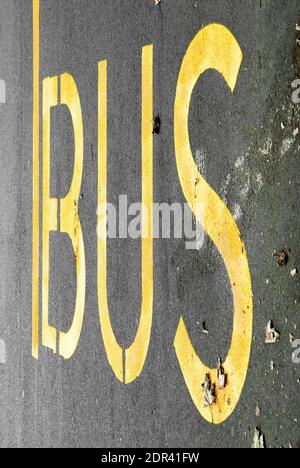 Ligne de bus sur une route asphaltée. Texte jaune sur la route. Banque D'Images