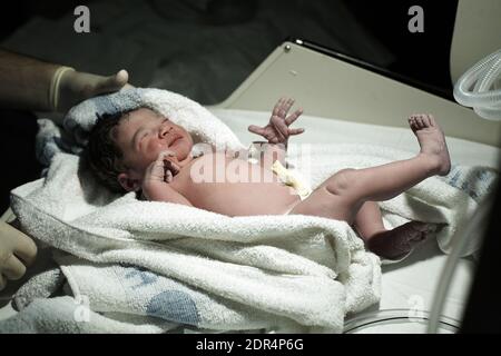 Bébé nouveau-né immédiatement après la naissance Banque D'Images