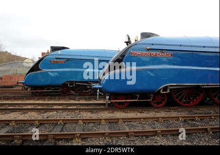 'Bittern' et 'Dominion of Canada' dans la cour de Barrow Hill. Banque D'Images