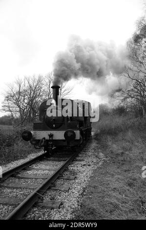 « Vulcan » et deux fourgonnettes couvertes sur la branche de Springwell. Banque D'Images