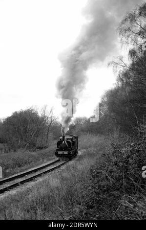 « Vulcan » et deux fourgonnettes couvertes sur la branche de Springwell. Banque D'Images