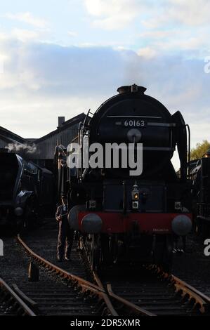 'Tornado' sur le hangar à Didcot avec 'sid Nigel Gresley' à côté. Banque D'Images