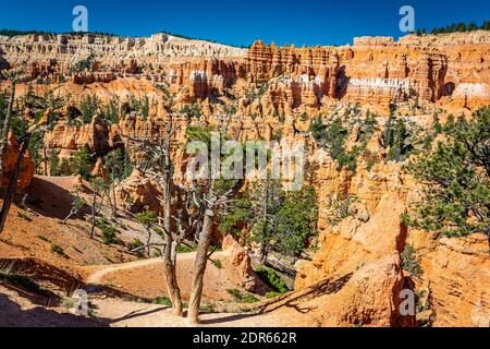 Des zoos et des formations de grès érodées le long des sentiers de randonnée Queen's Garden et Navajo Loop au parc national de Bryce Canyon dans l'Utah. Banque D'Images