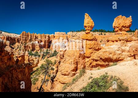 Des zoos et des formations de grès érodées le long des sentiers de randonnée Queen's Garden et Navajo Loop au parc national de Bryce Canyon dans l'Utah. Banque D'Images