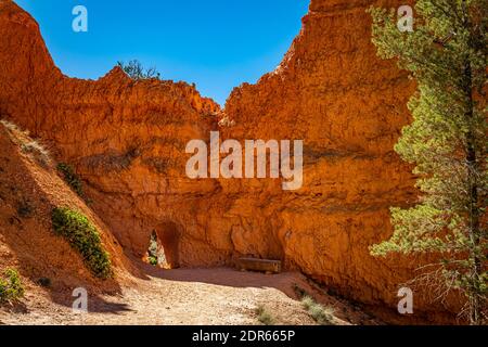 Des zoos et des formations de grès érodées le long des sentiers de randonnée Queen's Garden et Navajo Loop au parc national de Bryce Canyon dans l'Utah. Banque D'Images