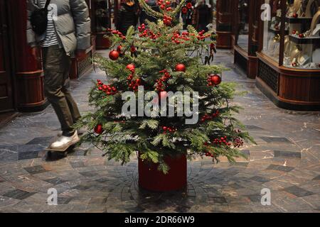 Londres (Royaume-Uni) : petits arbres de noël exposés à la salle d'arcade de Burlington dans le quartier de Mayfair à londres. En raison du coronavirus 2020 a été une année extraordinaire. Banque D'Images