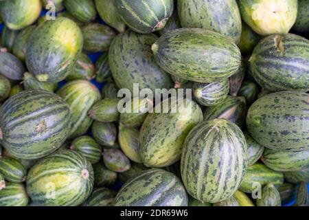 Vue de dessus de petits melons non mûrs pour faire des cornichons, d'un marché local. Banque D'Images