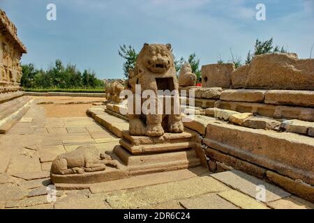 Chennai, Inde du Sud - 28 octobre 2018 : sculpture en pierre du monolithe de lion construite à l'intérieur de Mahabalipuram, dans l'État du Tamil nadu Banque D'Images