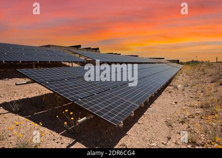 Panneaux solaires photovoltaïques avec ciel de coucher de soleil au parc national de la zone de conservation de Red Rock Canyon dans le sud du Nevada, États-Unis. Banque D'Images