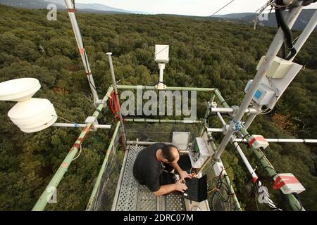 France-Puechabon-Herault.20/10/2015.Karim Piquemal ingéneur, responsable des 300 capteurs et 16 enregistrés de dons.c'est un laboratoire géographique arrêt de pluies , dans la forêt de Puéchabon les chercheurs du CNRS, dans le secteur des réductions de hauteur d'état des forêts, dans le secteur des forêts d'essai des forêts. Les chercheurs du Centre d'écologie fonctionnelle et écologique de Montpellier ont inventorié des systèmes ingénieux pour simultanément la prédiction du chauffeur climatique dans 100 ans avec 3 débarqués de plus.des parcelles entières de chê Banque D'Images