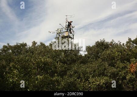 France-Puechabon-Herault.20/10/2015.Karim Piquemal ingéneur, responsable des 300 capteurs et 16 enregistrés de dons.c'est un laboratoire géographique arrêt de pluies , dans la forêt de Puéchabon les chercheurs du CNRS, dans le secteur des réductions de hauteur d'état des forêts, dans le secteur des forêts d'essai des forêts. Les chercheurs du Centre d'écologie fonctionnelle et écologique de Montpellier ont inventorié des systèmes ingénieux pour simultanément la prédiction du chauffeur climatique dans 100 ans avec 3 débarqués de plus.des parcelles entières de chê Banque D'Images