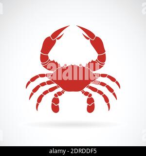 Vecteur d'un crabe sur fond blanc,. Animaux. Icône crabe. Créature marine. Illustration vectorielle superposée facile à modifier. Illustration de Vecteur
