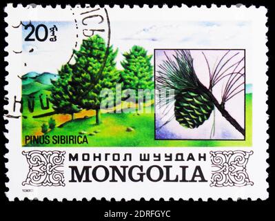 MOSCOU, RUSSIE - 4 JANVIER 2019 : un timbre imprimé en Mongolie montre Pinus sibirica, série Flora, vers 1982 Banque D'Images