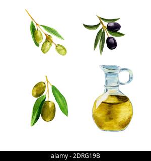 décor avec illustrations aquarelles de bouteilles d'huile végétale et d'olives sur fond blanc. Banque D'Images