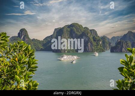 Bateaux de croisière et îles à Halong Bay, Vietnam Banque D'Images