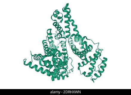 Structure de l'albumine humaine, modèle de dessin animé 3D isolé, fond blanc Banque D'Images