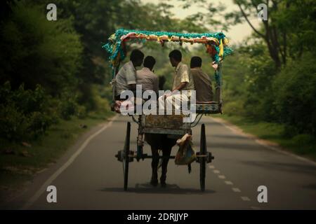 Un tanga (véhicule de location tiré par un cheval) transportant des passagers à Rajgir, Bihar, Inde. Banque D'Images