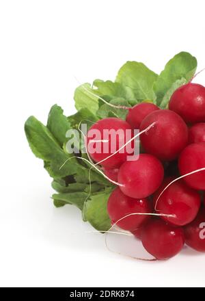 Le Radis rouge, Raphanus sativus against White Background Banque D'Images