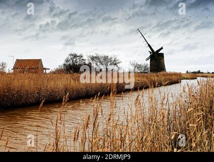 Les vestiges de Brograve Drainage Mill sur Waxham New Cut près de Horsey, Norfolk un jour gris de décembre avec des roseaux mourants et des cieux nuageux. Banque D'Images