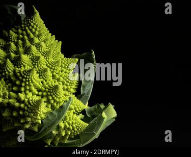 Un cliché isolé du Brocoli Romanesco sur un noir arrière-plan Banque D'Images