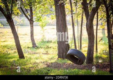 Balançoire de vieux pneus accrochée avec une chaîne dans un bois en été ou en automne dans une aire de jeux pour enfants. Cette balançoire est faite d'une roue de pneu de recyclage en caoutchouc. Pictur Banque D'Images