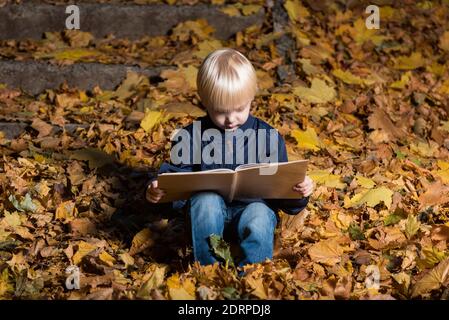 le petit garçon aux cheveux justes est assis dans les feuilles d'automne et le livre de lecture. Livre pour enfants sur la magie. Banque D'Images