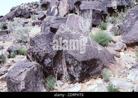 Monument national de Petroglyph, Western Trail, Albuquerque, Nouveau-Mexique, NOUVEAU-MEXIQUE, ÉTATS-Unis Banque D'Images