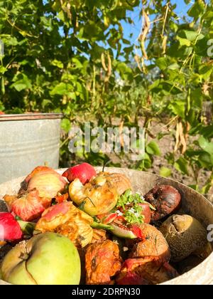 Conteneur de déchets bio biodégradable avec déchets alimentaires et restes de légumes, fosse de compost de jardin pour la fabrication du compost. Compostage à la maison concept Banque D'Images