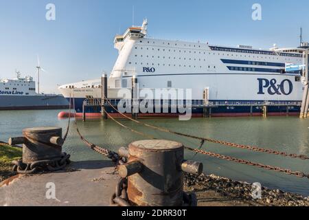 ROTTERDAM EUROPOORT, PAYS-BAS - 29 FÉVRIER 2016 : le ferry Pride of Hull est enchaîné sur le quai de P&O North Sea Ferries à Rotterdam Europoo Banque D'Images