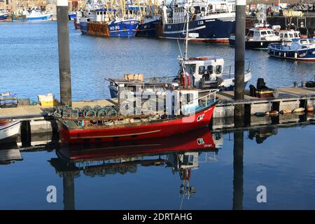 Bateaux de pêche à Howth Harbour, Dublin, Irlande Banque D'Images