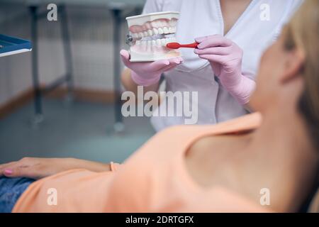 Femme étant expliquée de nettoyage des dents approprié dans la clinique Banque D'Images