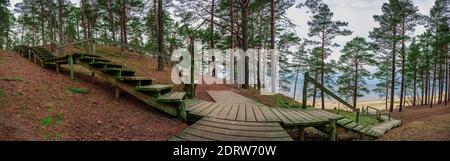 Vue panoramique sur le chemin en bois et les escaliers près de la côte de la mer Baltique. Panorama de forêt de conifères avec pins et côte de mer Baltique avec plage blanche. Banque D'Images