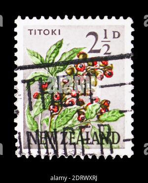 MOSCOU, RUSSIE - 10 FÉVRIER 2019 : un timbre imprimé en Nouvelle-Zélande montre Titoki, Chêne de Nouvelle-Zélande (Alectryon excelsus), série, vers 1961 Banque D'Images