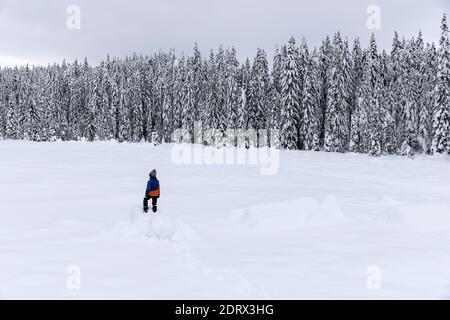 Jour d'hiver, beaucoup de neige, garçon debout sur un banc recouvert de neige sur le terrain enneigé contre la forêt de pins Banque D'Images