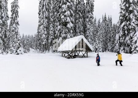 Mère et fils marchant dans la neige profonde sur la neige couverte paysage sur un terrain pittoresque contre des pins en forêt Banque D'Images