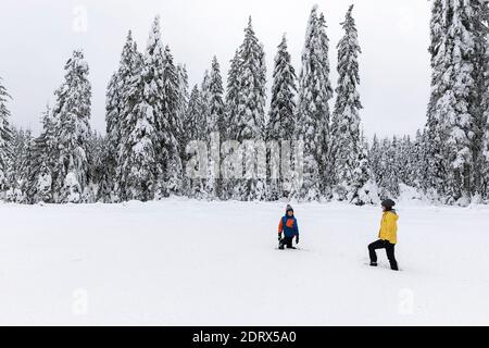 Mère et fils marchant dans la neige profonde sur la neige couverte paysage sur un terrain pittoresque contre des pins en forêt Banque D'Images