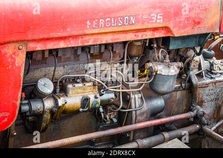 Nom sur le capot moteur d'un tracteur Ferguson 35 Vintage délavé et non restauré lors d'un spectacle dans le nord-est de l'Angleterre, au Royaume-Uni Banque D'Images