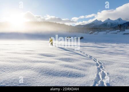 Femme marchant seule dans un paysage enneigé dans la prairie alpine pittoresque de Zajavornik dans les alpes juliennes, Pokljuka, en hiver Banque D'Images