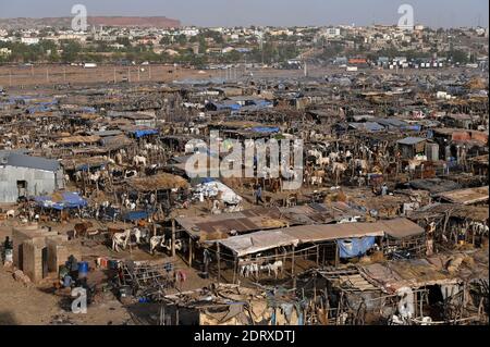 MALI, Bamako, camp de déplacés Faladjié, peuple de Peulh s'est installé ici après des conflits ethniques avec les Dogon dans la région Mopti, élevage de bergers de Peulh / Faladié, Peulh Fluechtlinge haben sich nach ethnischen Konflikten mit Dogon dans la région Mopti angesiedelt, Peulh Tihrierden mit en der Banque D'Images