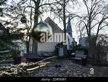 Berlin, Allemagne. 21 décembre 2020. Un sapin de Noël décoré se dresse sur une place vide à Rahnsdorf. Credit: Kira Hofmann/dpa-Zentralbild/ZB/dpa/Alay Live News Banque D'Images