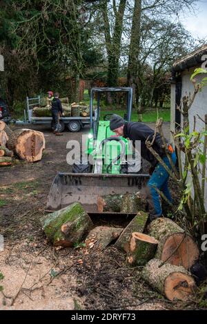 Hampshire, Angleterre, Royaume-Uni. 2020. Ouvriers forestiers déplaçant des sections d'un arbre de cendres avec un petit tracteur et saisir. Banque D'Images