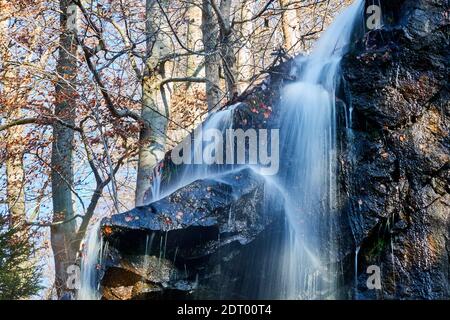 Cascade du Radau près de Bad Harzburg dans le national parc des montagnes Harz en Allemagne Banque D'Images