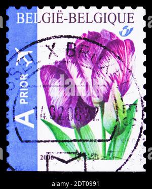 MOSCOU, RUSSIE - 21 FÉVRIER 2019 : un timbre imprimé en Belgique montre Rembrandt Tulip Self-coll - Bottom imperf, série de fleurs, vers 2006 Banque D'Images