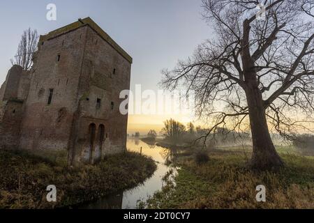 Lever de soleil pittoresque se reflétant dans l'eau de la crique entre Les vestiges du château de Nijenbeek et le grand arbre dans le Pays-Bas le long de la rivière IJss Banque D'Images