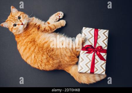 Le chat joue avec une boîte cadeau de Noël et du nouvel an enveloppée de papier et décorée d'un noeud en ruban rouge sur fond noir. Cadeaux pour animaux de compagnie Banque D'Images