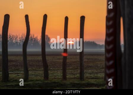 Pömmelte, Saxe-Anhalt, Allemagne. 21 décembre 2020. Le soleil se lève le jour du solstice d'hiver au sanctuaire de l'anneau de Pömmelte. Le site culte préhistorique est également appelé Stonehenge allemand par des archéologues. Crédit: Mattis Kaminer/Alay Live News Banque D'Images