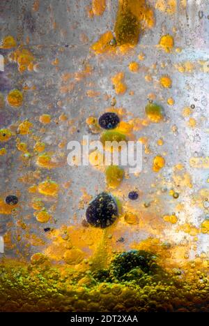 Abstrait aux couleurs vives avec des bulles causées par une réaction chimique Banque D'Images