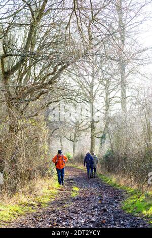 21 décembre 2020 - les personnes qui font de la randonnée à Maulden Wood, dans le Bedfordshire, au Royaume-Uni, le niveau de restriction du coronavirus est passé du niveau 3 au niveau 4 le week-end précédant Noël Banque D'Images