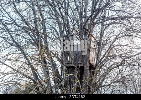 Treehouse. Maison faite maison de planches sur un vieux arbre contre le ciel. Banque D'Images